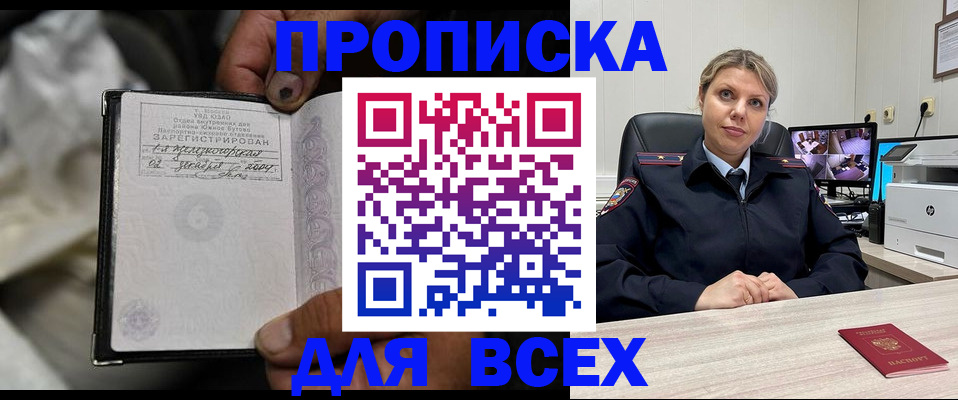 где прописаться в Коле